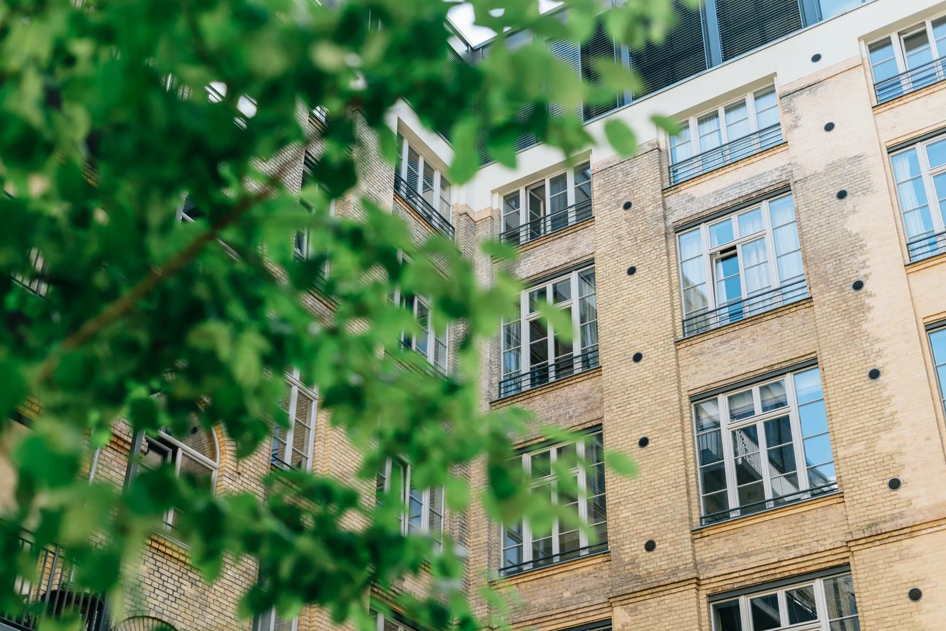 Yellow brick building framed by green tree leaves.